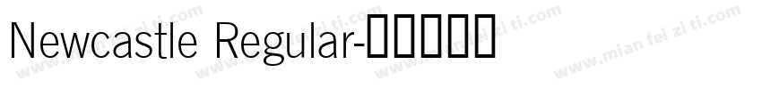 Newcastle Regular字体转换